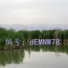 ļ