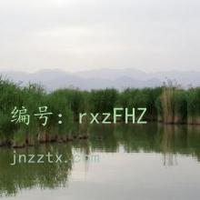 ļ